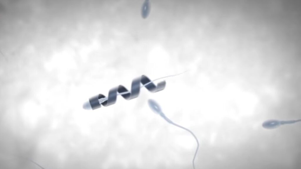 How Do Spermbots Work?