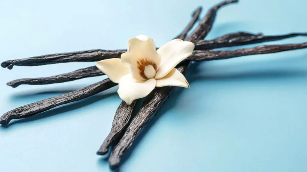 Is Your Vanilla Extract Recipe Really Natural? The Shocking Truth About Fake Vanilla Flavors 5 Vanilla Beans: The Heart of Vanilla Extract