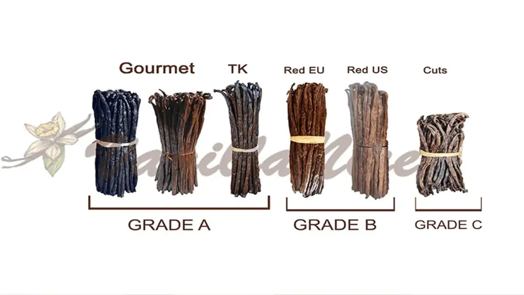 Is Your Vanilla Extract Recipe Really Natural? The Shocking Truth About Fake Vanilla Flavors 7 Vanilla Beans Grades A, B and C