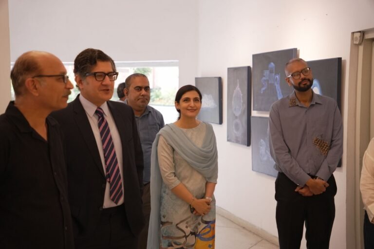 Ustad ALLAH Bux Gallery, GC University Students