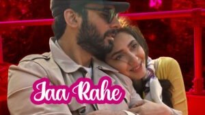 Jaa Rahe song Real Story