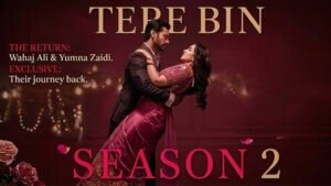 Tere bin Season 2